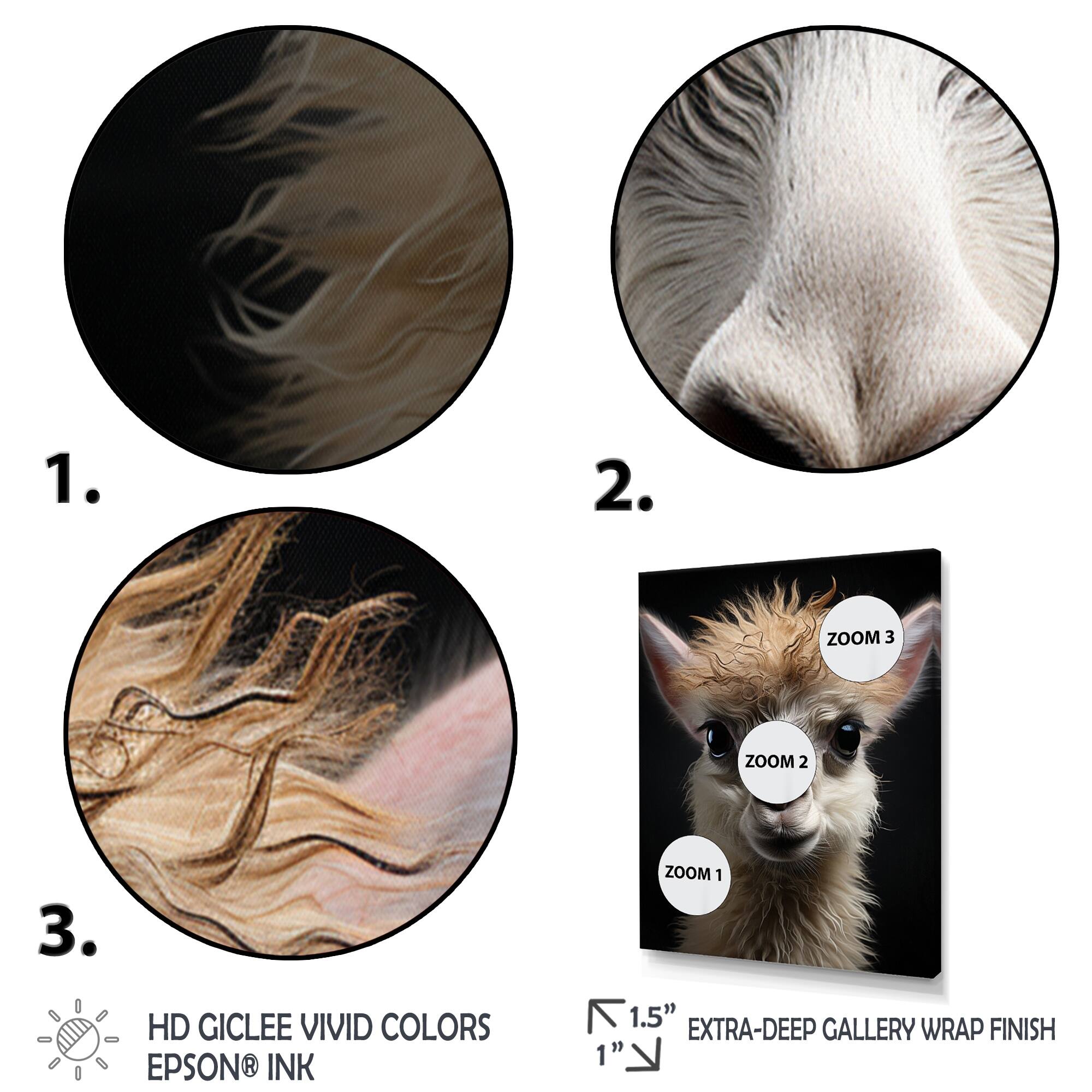 Designart "Beige Back Funny Llama Portrait Vibrant" Animals Llama Wall